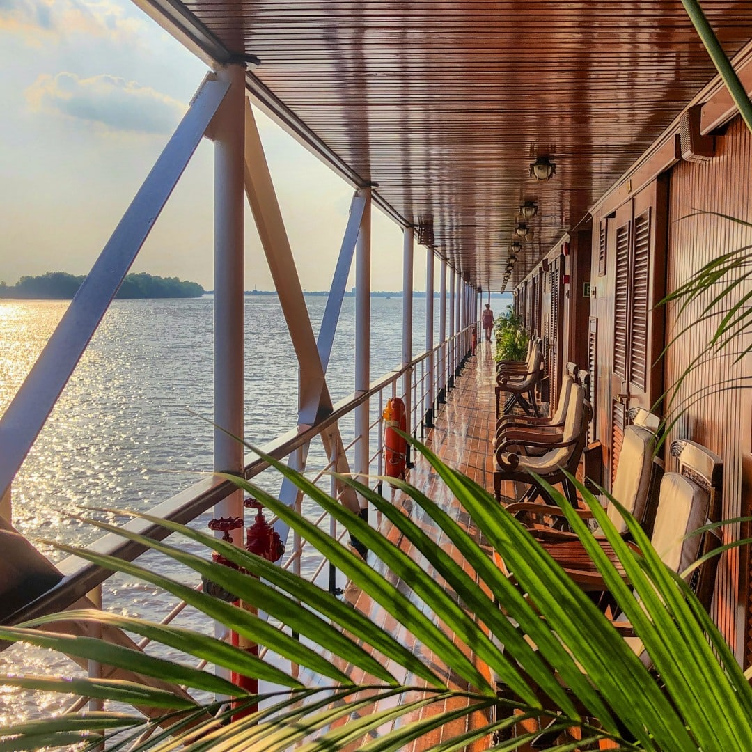 De blauwe vogel